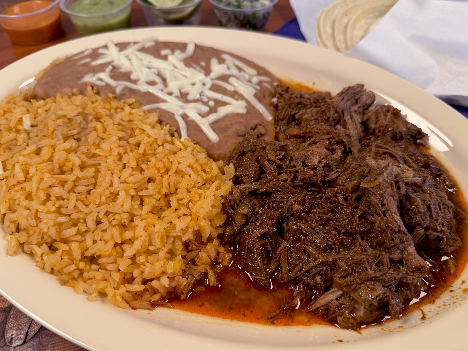 Birria Plate Close Up
